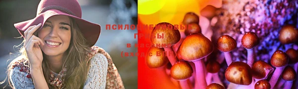 сатива Алзамай
