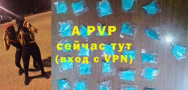 твердый Ростов