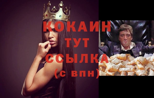 сатива Алзамай